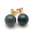 Tahitian Black Pearl Earrings 14K Gold - The Jewelry Lady's Store