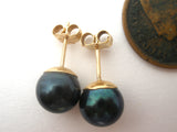 Tahitian Black Pearl Earrings 14K Gold - The Jewelry Lady's Store