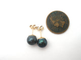 Tahitian Black Pearl Earrings 14K Gold - The Jewelry Lady's Store