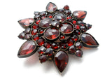 Victorian Bohemian Garnet Brooch Pin 6 Points - The Jewelry Lady's Store